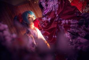 精品国产福利视频在线观看