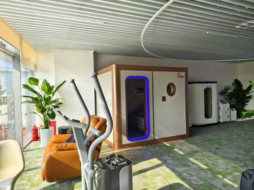 国产会所,国产会所的独特魅力与精致体验